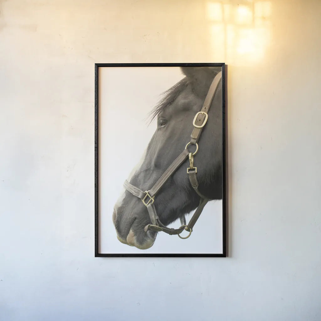In Halter by Sue Schlabach. shown as a paper print in a black flame. Available as a archival giclee rolled canvas, fine art paper, or poster print. SKU 58271h.