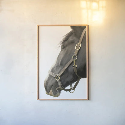 In Halter by Sue Schlabach. shown as a paper print in a natural frame. Available as a archival giclee rolled canvas, fine art paper, or poster print. SKU 58271h.