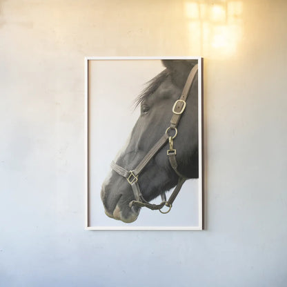 In Halter by Sue Schlabach. shown as a paper print in a white frame. Available as a archival giclee rolled canvas, fine art paper, or poster print. SKU 58271h.