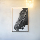 In Halter BW by Sue Schlabach. shown as a paper print in a black flame. Available as a archival giclee rolled canvas, fine art paper, or poster print. SKU 76409h.