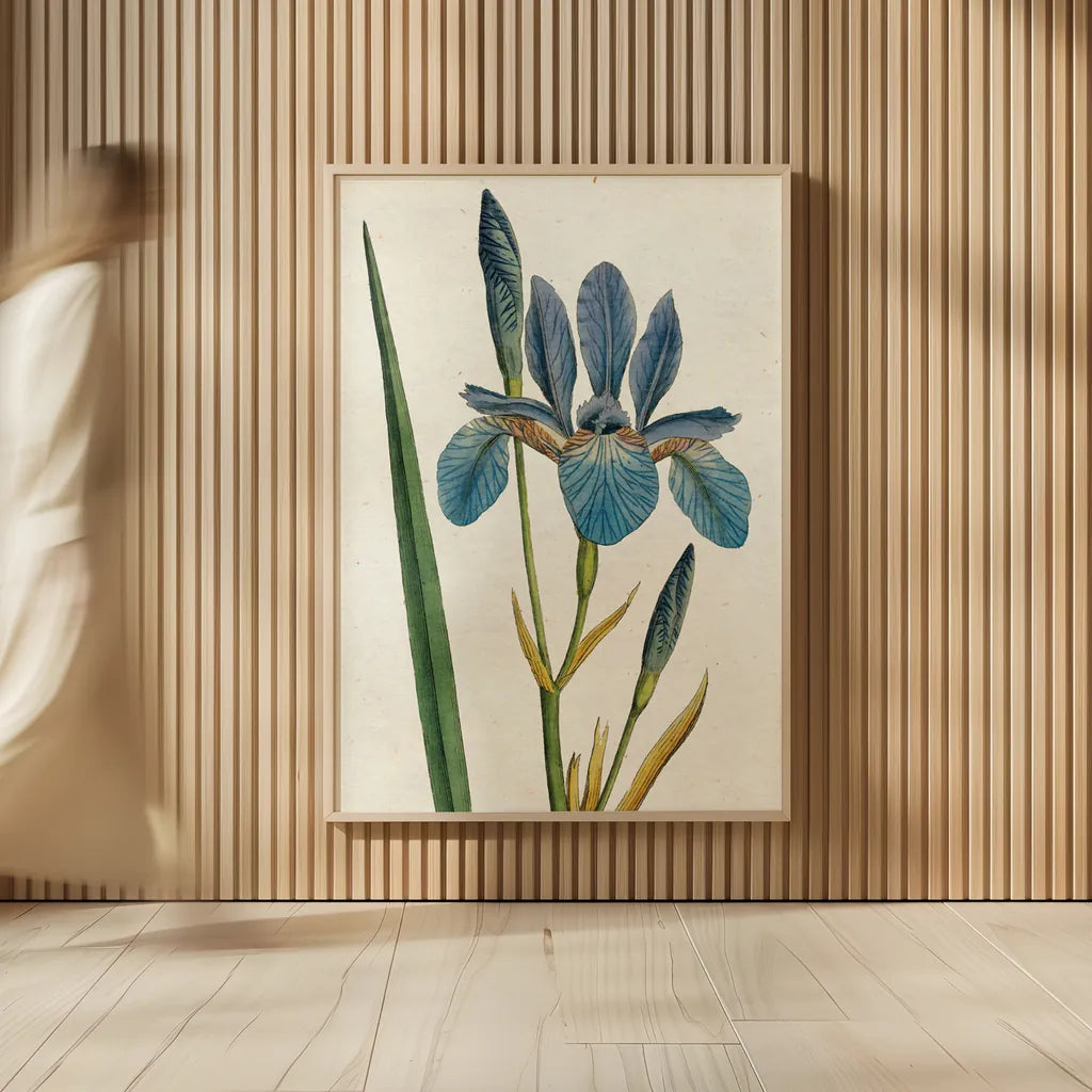 Iris Letter No Words by Sue Schlabach. shown as over sized large wall art. Available as an archival giclee rolled canvas, fine art paper, or poster print. SKU 44800h.