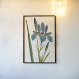 Iris Letter No Words by Sue Schlabach. shown as a paper print in a black flame. Available as a archival giclee rolled canvas, fine art paper, or poster print. SKU 44800h.