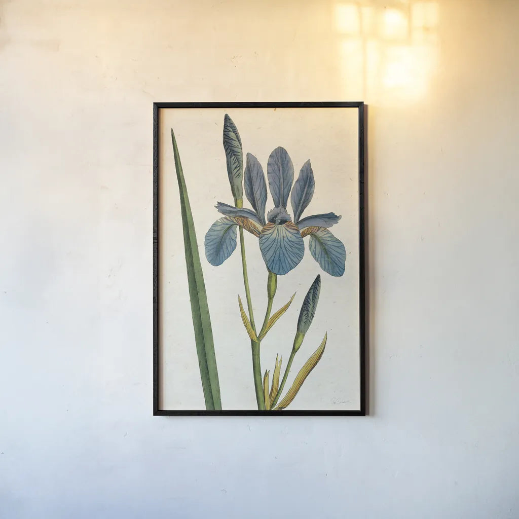 Iris Letter No Words by Sue Schlabach. shown as a paper print in a black flame. Available as a archival giclee rolled canvas, fine art paper, or poster print. SKU 44800h.