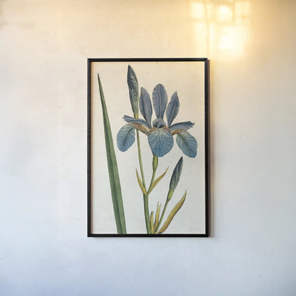 Iris Letter No Words by Sue Schlabach. shown as a paper print in a black flame. Available as a archival giclee rolled canvas, fine art paper, or poster print. SKU 44800h.