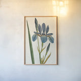 Iris Letter No Words by Sue Schlabach. shown as a paper print in a natural frame. Available as a archival giclee rolled canvas, fine art paper, or poster print. SKU 44800h.
