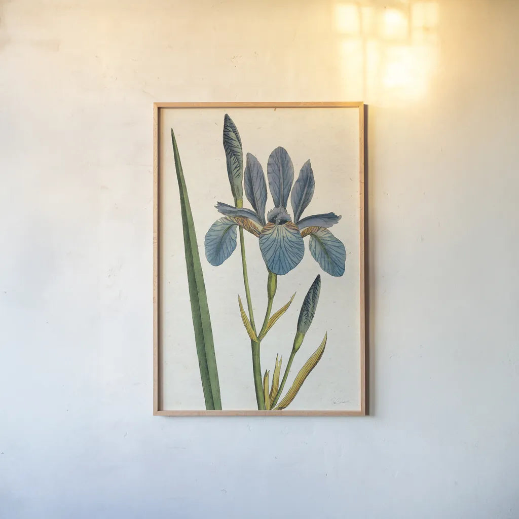 Iris Letter No Words by Sue Schlabach. shown as a paper print in a natural frame. Available as a archival giclee rolled canvas, fine art paper, or poster print. SKU 44800h.