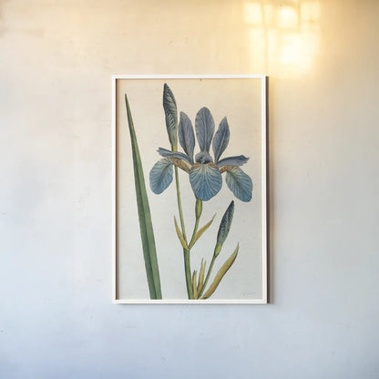 Iris Letter No Words by Sue Schlabach. shown as a paper print in a white frame. Available as a archival giclee rolled canvas, fine art paper, or poster print. SKU 44800h.