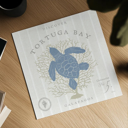 Island Findings VI Blue by Sue Schlabach. Shown as a detailed flat fine art print, highlighting archival giclee quality. Available as an archival giclee rolled canvas, fine art paper, or poster print. SKU 87628a.