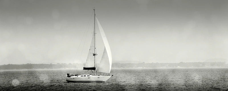 Lake Sail Crop by Sue Schlabach
