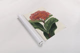 Lantana Botany No Words by Sue Schlabach. shown as a rolled paper print. Available as archival giclee rolled canvas, fine art paper, or poster print. SKU 44799h.