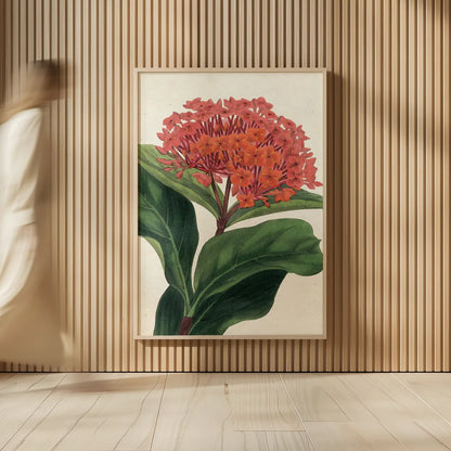 Lantana Botany No Words by Sue Schlabach. shown as over sized large wall art. Available as an archival giclee rolled canvas, fine art paper, or poster print. SKU 44799h.