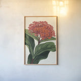 Lantana Botany No Words by Sue Schlabach. shown as a paper print in a natural frame. Available as a archival giclee rolled canvas, fine art paper, or poster print. SKU 44799h.