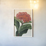 Lantana Botany No Words by Sue Schlabach. shown as a paper print in a white frame. Available as a archival giclee rolled canvas, fine art paper, or poster print. SKU 44799h.