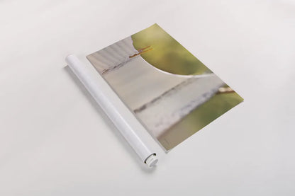 Laundry Day by Sue Schlabach. shown as a rolled paper print. Available as archival giclee rolled canvas, fine art paper, or poster print. SKU 34129i.