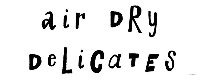 Laundry Room Delicates by Sue Schlabach