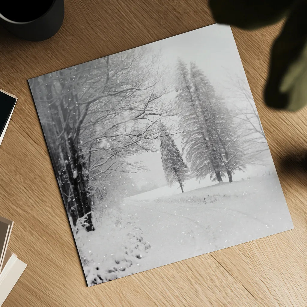 Let it Snow II BW No Words by Sue Schlabach. Shown as a detailed flat fine art print, highlighting archival giclee quality. Available as an archival giclee rolled canvas, fine art paper, or poster print. SKU 75780a.