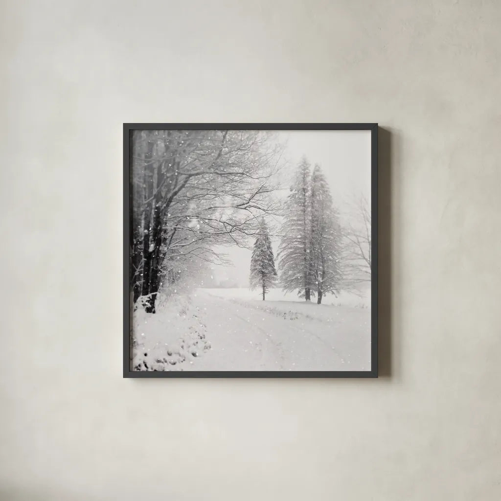 Let it Snow II BW No Words by Sue Schlabach. Shown in a sleek black glass frame for a contemporary gallery look. Available as an archival giclee rolled canvas, fine art paper, or poster print. SKU 75780a.