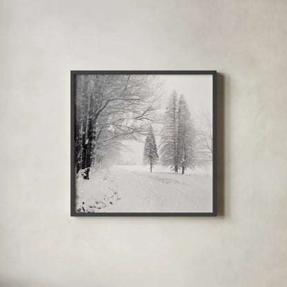 Let it Snow II BW No Words by Sue Schlabach. Shown in a sleek black glass frame for a contemporary gallery look. Available as an archival giclee rolled canvas, fine art paper, or poster print. SKU 75780a.