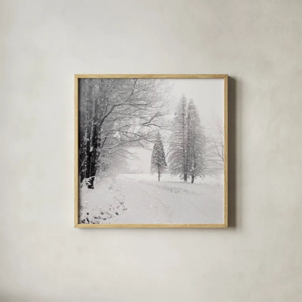 Let it Snow II BW No Words by Sue Schlabach. Shown in a natural wood glass frame for a timeless modern aesthetic. Available as an archival giclee rolled canvas, fine art paper, or poster print. SKU 75780a.