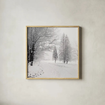 Let it Snow II BW No Words by Sue Schlabach. Shown in a natural wood glass frame for a timeless modern aesthetic. Available as an archival giclee rolled canvas, fine art paper, or poster print. SKU 75780a.