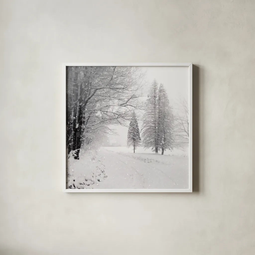 Let it Snow II BW No Words by Sue Schlabach. Shown in a crisp white glass frame for a clean and minimalist style. Available as an archival giclee rolled canvas, fine art paper, or poster print. SKU 75780a.