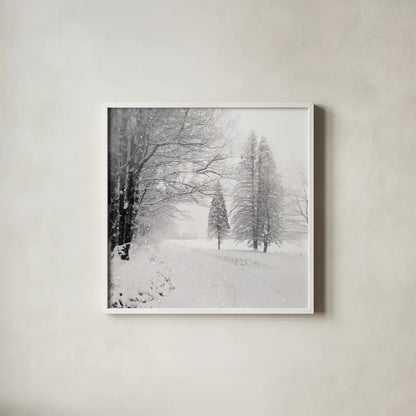 Let it Snow II BW No Words by Sue Schlabach. Shown in a crisp white glass frame for a clean and minimalist style. Available as an archival giclee rolled canvas, fine art paper, or poster print. SKU 75780a.