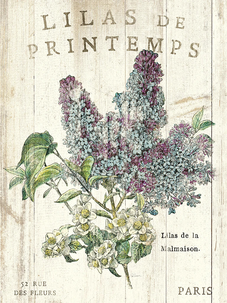 Lilas de Printemps by Sue Schlabach