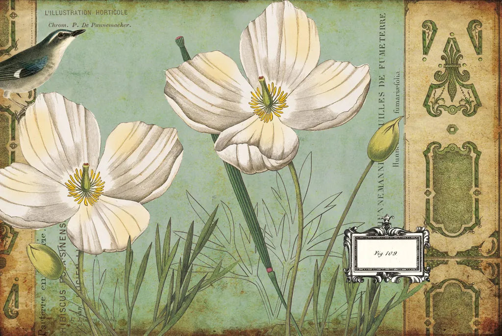 Modern Curiosity Poppies by Sue Schlabach. SKU 31788i. Archival Giclee Fine art print for wall decor.