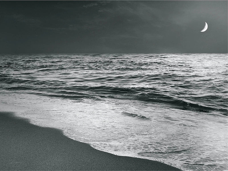 Moonrise Beach BW Crop by Sue Schlabach