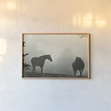 Morning Meadow Horses IV by Sue Schlabach. shown as a paper print in a natural frame. Available as a archival giclee rolled canvas, fine art paper, or poster print. SKU 101288i.