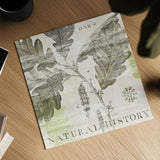 Natural History Oak IV by Sue Schlabach. Shown as a detailed flat fine art print, highlighting archival giclee quality. Available as an archival giclee rolled canvas, fine art paper, or poster print. SKU 18706a.