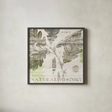 Natural History Oak IV by Sue Schlabach. Shown in a sleek black glass frame for a contemporary gallery look. Available as an archival giclee rolled canvas, fine art paper, or poster print. SKU 18706a.