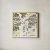 Natural History Oak IV by Sue Schlabach. Shown in a natural wood glass frame for a timeless modern aesthetic. Available as an archival giclee rolled canvas, fine art paper, or poster print. SKU 18706a.