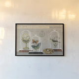 Nature Under Glass I by Sue Schlabach. shown as a paper print in a black flame. Available as a archival giclee rolled canvas, fine art paper, or poster print. SKU 44736i.