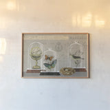 Nature Under Glass I by Sue Schlabach. shown as a paper print in a natural frame. Available as a archival giclee rolled canvas, fine art paper, or poster print. SKU 44736i.