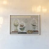 Nature Under Glass I by Sue Schlabach. shown as a paper print in a white frame. Available as a archival giclee rolled canvas, fine art paper, or poster print. SKU 44736i.