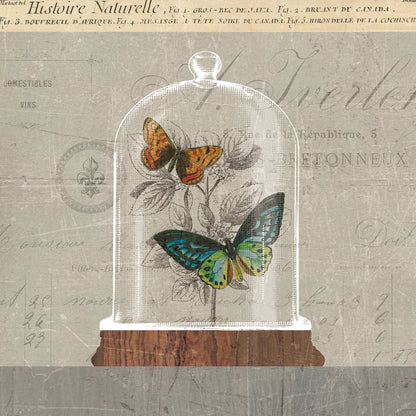 Nature Under Glass II by Sue Schlabach. SKU 44737a. Archival Giclee Fine art print for wall decor.