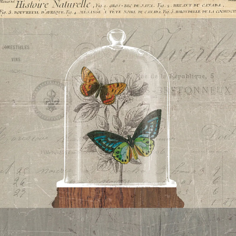 Nature Under Glass II by Sue Schlabach. SKU 44737a. Archival Giclee Fine art print for wall decor.
