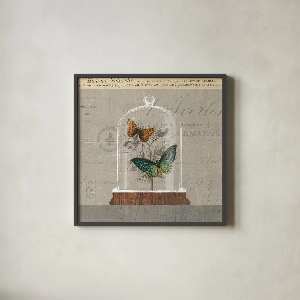 Nature Under Glass II by Sue Schlabach. Shown in a sleek black glass frame for a contemporary gallery look. Available as an archival giclee rolled canvas, fine art paper, or poster print. SKU 44737a.