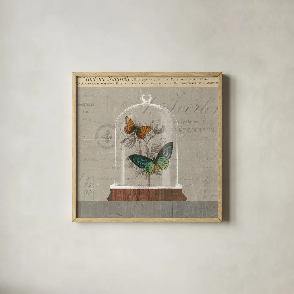Nature Under Glass II by Sue Schlabach. Shown in a natural wood glass frame for a timeless modern aesthetic. Available as an archival giclee rolled canvas, fine art paper, or poster print. SKU 44737a.