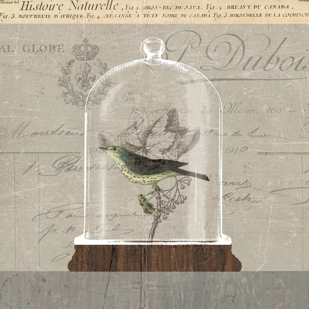 Nature Under Glass III by Sue Schlabach. SKU 44738a. Archival Giclee Fine art print for wall decor.