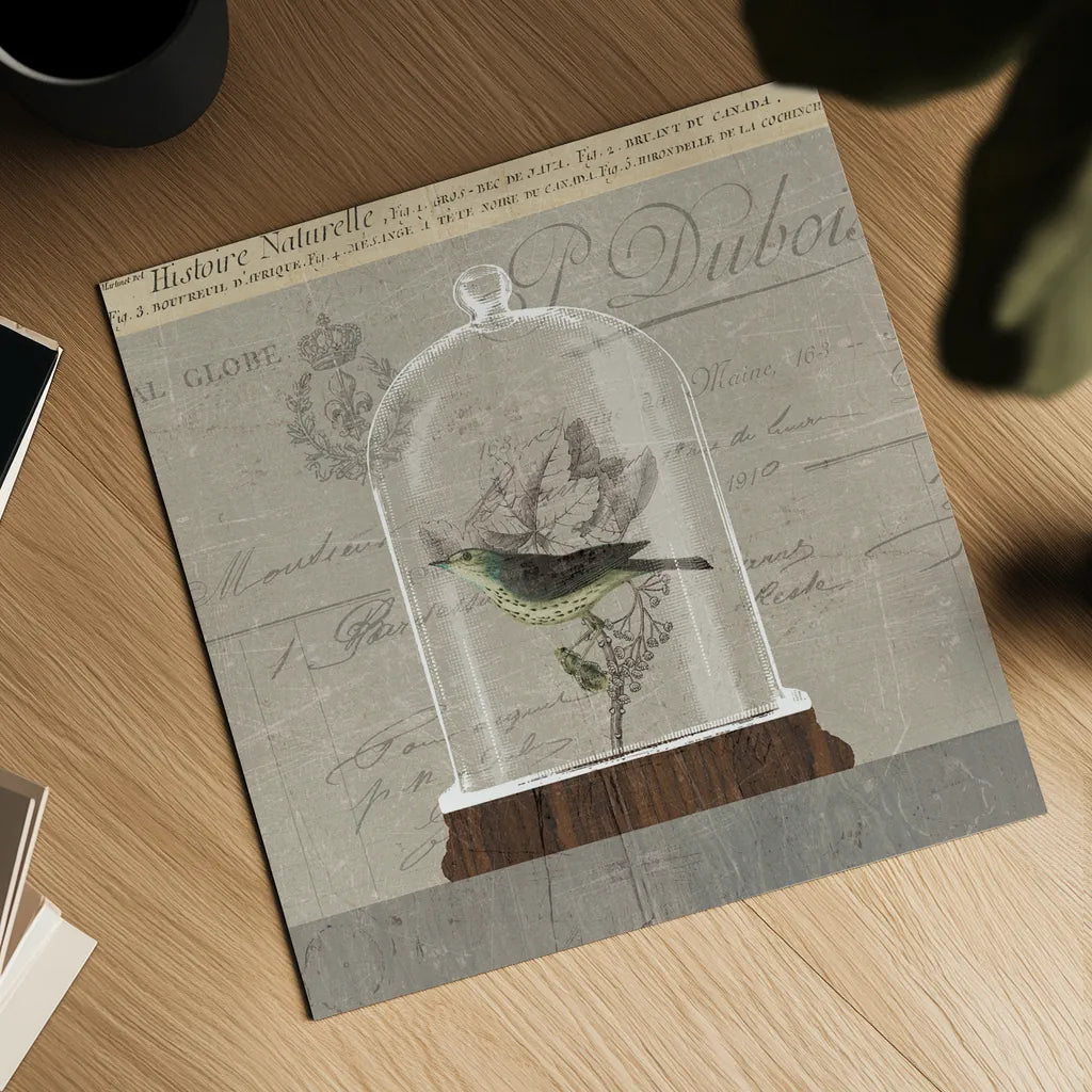 Nature Under Glass III by Sue Schlabach. Shown as a detailed flat fine art print, highlighting archival giclee quality. Available as an archival giclee rolled canvas, fine art paper, or poster print. SKU 44738a.