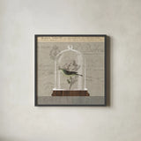 Nature Under Glass III by Sue Schlabach. Shown in a sleek black glass frame for a contemporary gallery look. Available as an archival giclee rolled canvas, fine art paper, or poster print. SKU 44738a.