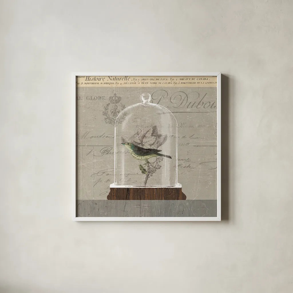 Nature Under Glass III by Sue Schlabach. Shown in a crisp white glass frame for a clean and minimalist style. Available as an archival giclee rolled canvas, fine art paper, or poster print. SKU 44738a.