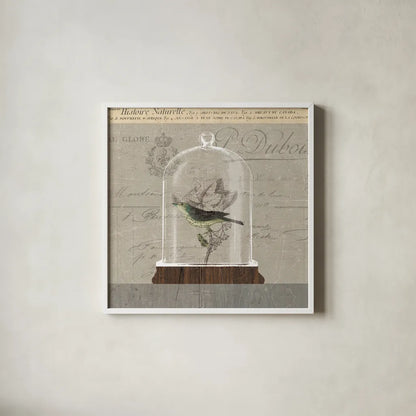 Nature Under Glass III by Sue Schlabach. Shown in a crisp white glass frame for a clean and minimalist style. Available as an archival giclee rolled canvas, fine art paper, or poster print. SKU 44738a.