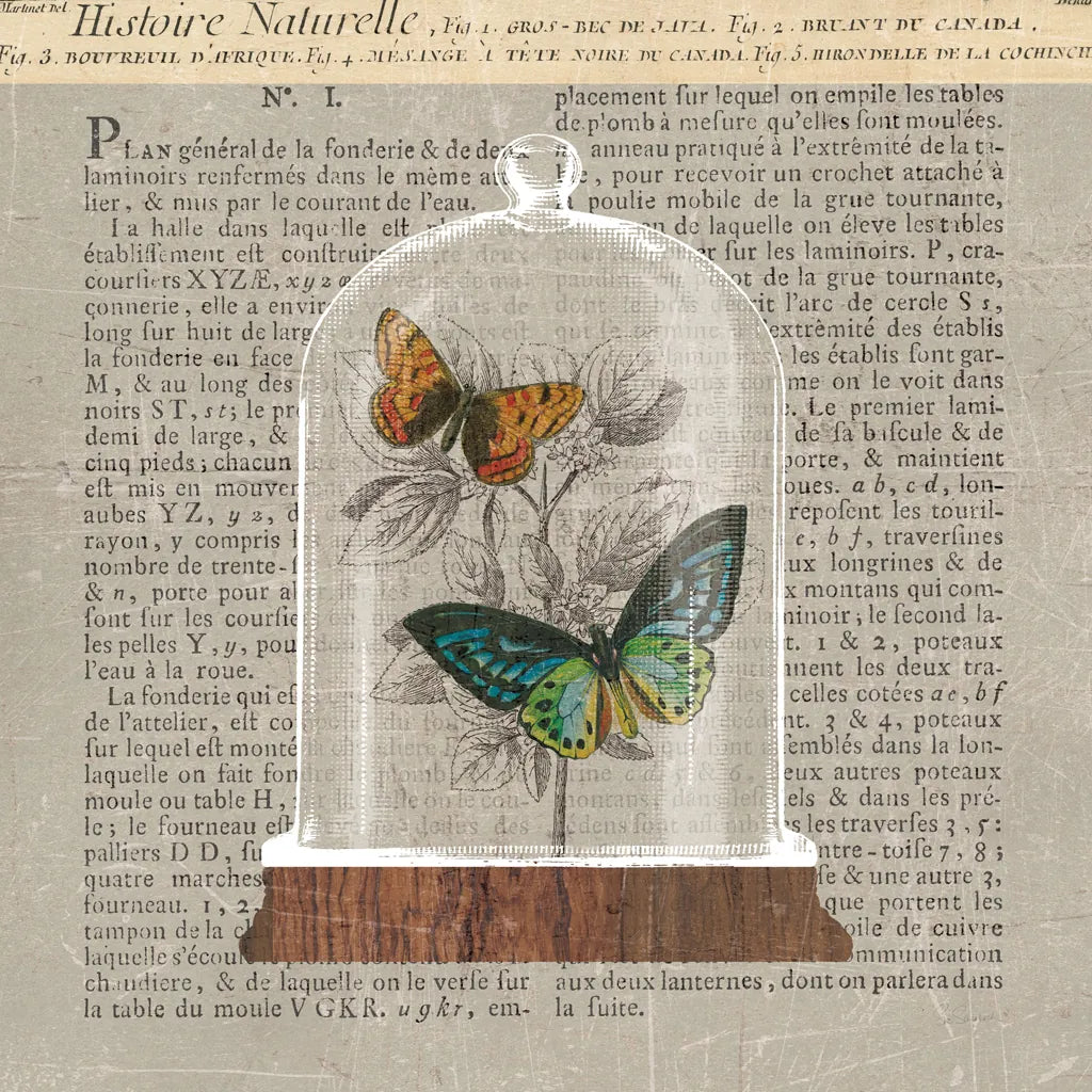 Nature Under Glass Newsprint II by Sue Schlabach. SKU 44734a. Archival Giclee Fine art print for wall decor.