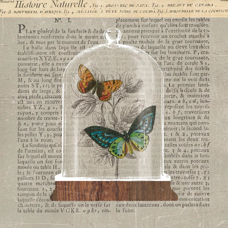 Nature Under Glass Newsprint II by Sue Schlabach. SKU 44734a. Archival Giclee Fine art print for wall decor.