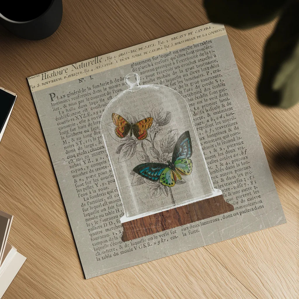 Nature Under Glass Newsprint II by Sue Schlabach. Shown as a detailed flat fine art print, highlighting archival giclee quality. Available as an archival giclee rolled canvas, fine art paper, or poster print. SKU 44734a.