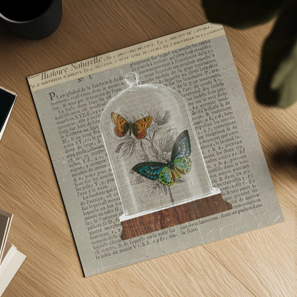 Nature Under Glass Newsprint II by Sue Schlabach. Shown as a detailed flat fine art print, highlighting archival giclee quality. Available as an archival giclee rolled canvas, fine art paper, or poster print. SKU 44734a.