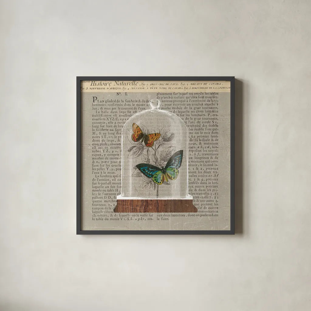 Nature Under Glass Newsprint II by Sue Schlabach. Shown in a sleek black glass frame for a contemporary gallery look. Available as an archival giclee rolled canvas, fine art paper, or poster print. SKU 44734a.